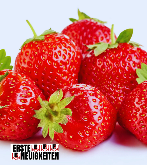 erdbeere