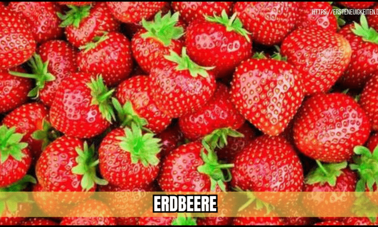 erdbeere