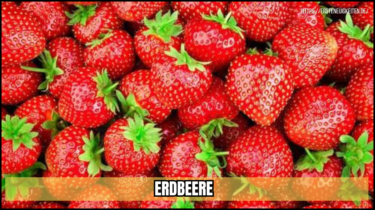 erdbeere