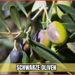 schwarze oliven