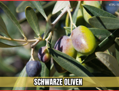 schwarze oliven