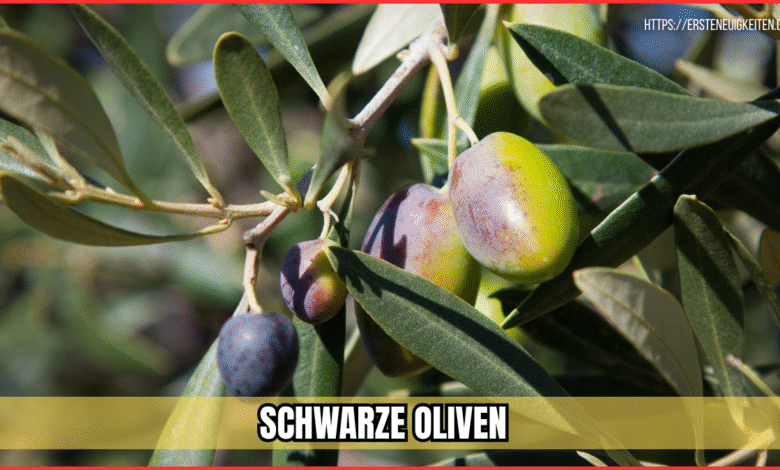 schwarze oliven